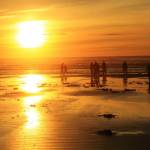 Clam-digging tips from state’s coastal shellfish manager