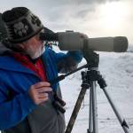 Franz Camenzind, a biologist with Project Coyote, observes a group of coyotes on an elk preserve outside Jackson, Wyoming. (David Montero | Los Angeles Times)