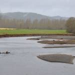 Louis Krauss | Grays Harbor News Group                                The Satsop River is the likely target of a dredging and floodplain management project as part of a bill in the state Legislature.
