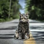 Review: Resurrection of ‘Pet Sematary’ a satisfyingly haunting tale of grief and horror