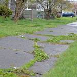 DAN HAMMOCK | GRAYS HARBOR NEWS GROUP A program where Hoquiam residents can split the cost of sidewalk repairs with the city got a financial boost earlier this month, an $18,000 grant to pay for the cost of seasonal laborers.