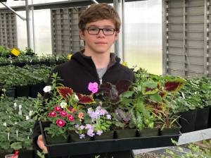 AHS plant sale just in time for Mothers Day