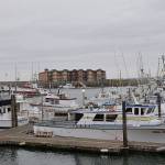 State says salmon season starts June 22 — lots of coho