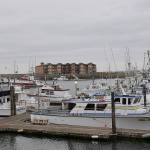 State says salmon season starts June 22 — lots of coho