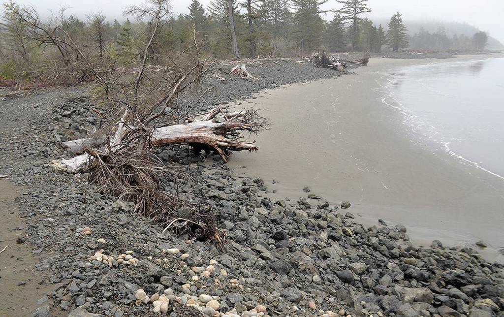 DAN HAMMOCK | GRAYS HARBOR NEWS GROUP                                A view of the dynamic revetment protecting the North Cove shoreline at the end of Old State Route 105 taken April 17.