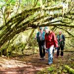 Courtesy photo                                Neil Eldridge leads a group tour through the Weatherwax Nature Preserve.