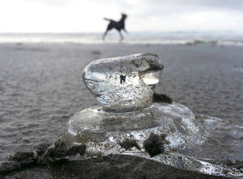 (Courtesy photo) Photographer Marcy Merrill, known for her interesting perspectives on coastal discoveries, will have a display at Caps Tavern next to the Tokeland Hotel.