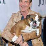 Amy Sussman | Getty Images                                Dennis Quaid and Peaches attend the premiere of Universal Pictures A Dogs Journey at ArcLight Hollywood on May 9.