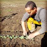 Sky Island Farm website                                Bil Thorn, owner of Sky Island Farm, tends to some plants in Humptulips.