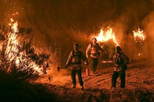 Study: Too few prescribed burns in the West