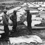 June 1944: Medical orderlies with the dead ready for burial in one of the first invasion graveyards in France. (Keystone/Hulton Archive/Getty Images)