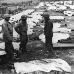 ‘I’d like to volunteer, sir’: 75 years after D-Day, memories live on through oral histories