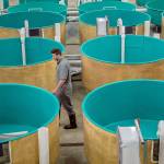 Indiana salmon hatchery to raise nation’s first genetically modified animal cleared for human consumption