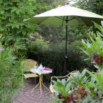 An example of the front garden area. The lawn was replaced by an assortment of trees and shrubs.