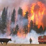 The University of Idaho study used field data from a 2002 wildfire in southern Oregon and this 2013 wildfire in central California, near Yosemite National Park. (Don Bartletti/Los Angeles Times)