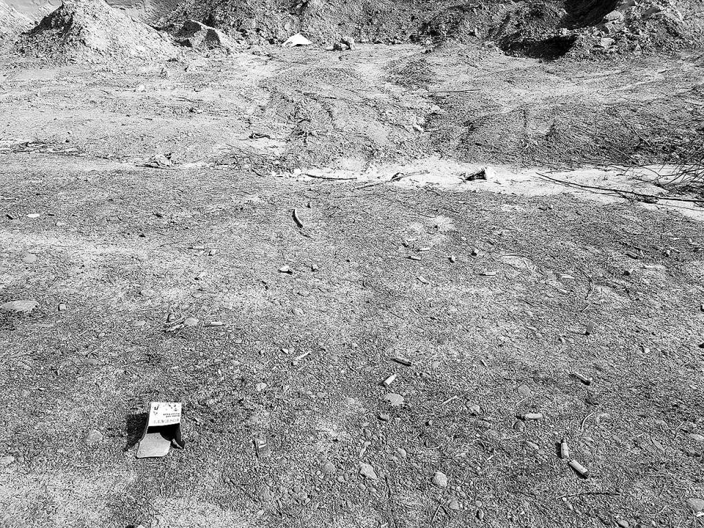 Monte forester warns of vandalism