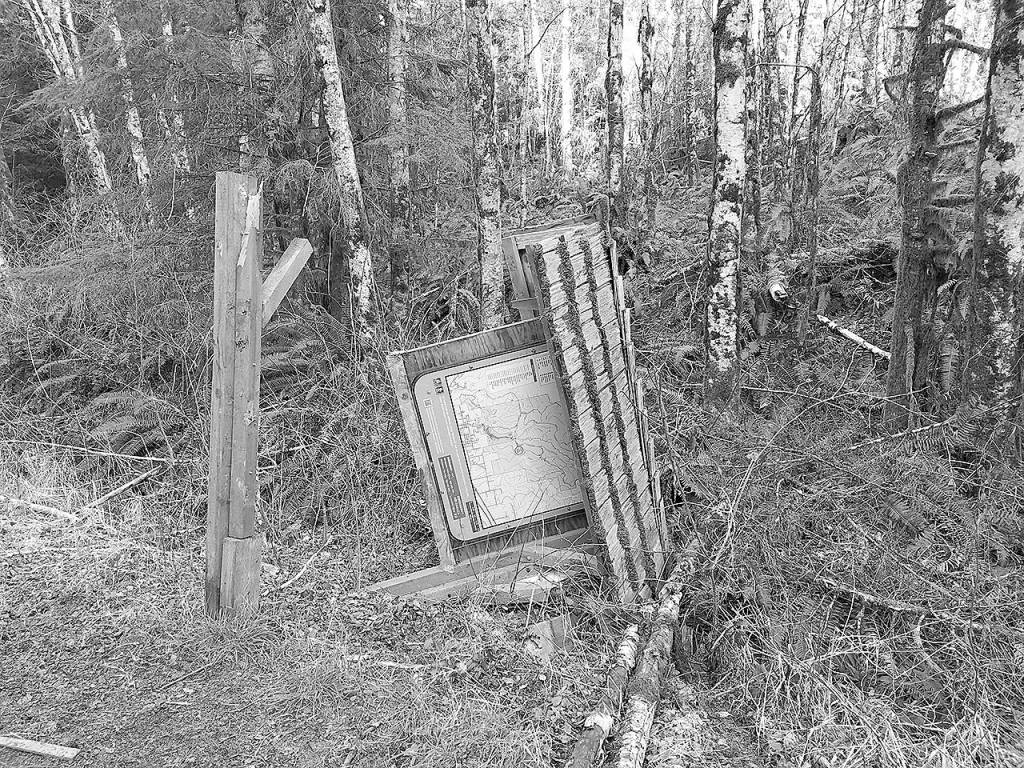 Monte forester warns of vandalism