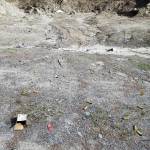 Monte forester warns of vandalism