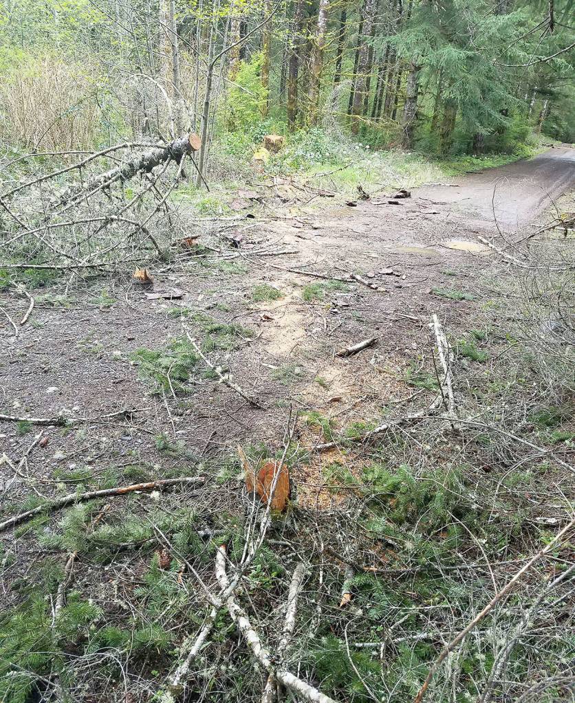 Monte forester warns of vandalism