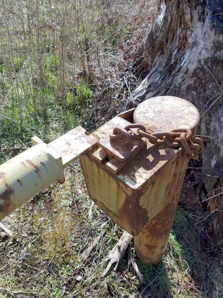 Monte forester warns of vandalism