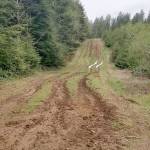 Monte forester warns of vandalism