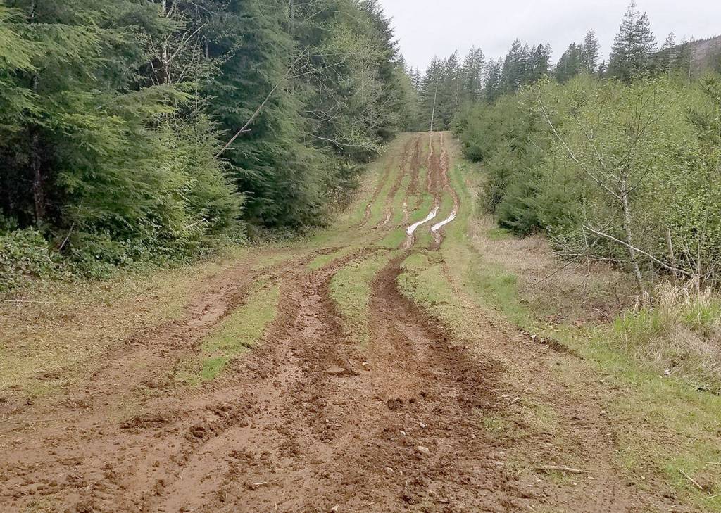 Monte forester warns of vandalism