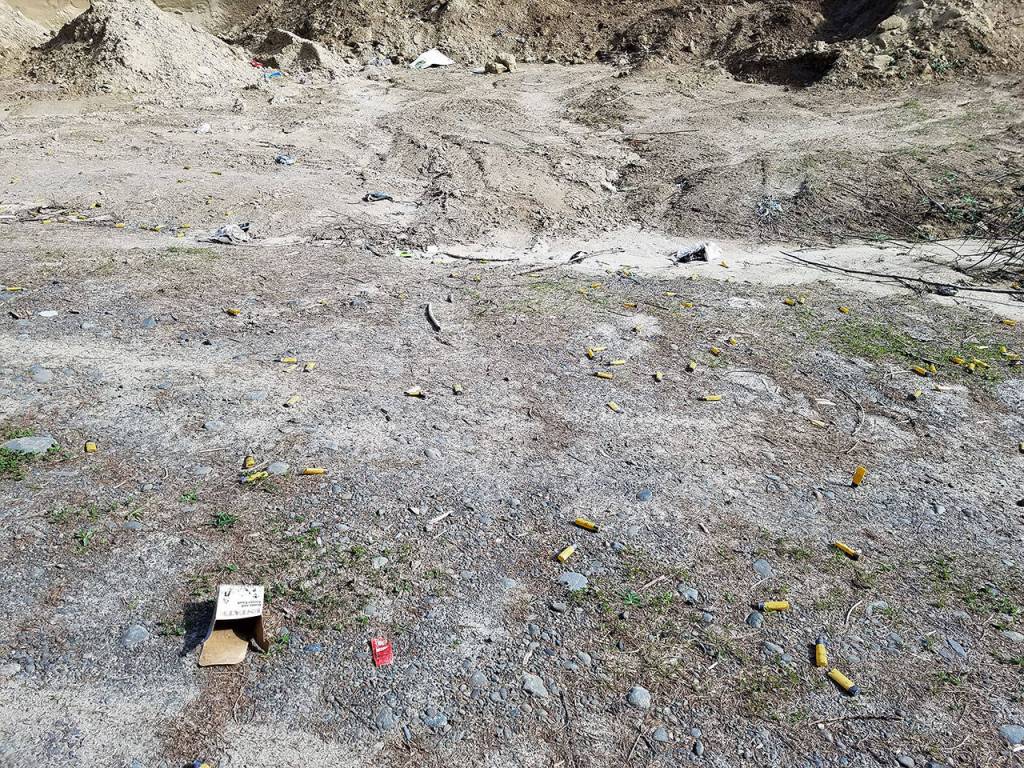 Monte forester warns of vandalism