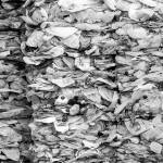 Amid a growing global movement against non-recyclable plastic, a growing number of Asian countries have said they will block all imported plastic waste in the next few years. (Mohd Rasfan/Getty Images)                                Mohd Rasfan/Getty Images                                Amid a growing global movement against non-recyclable plastic, a growing number of Asian countries have said they will block all imported plastic waste in the next few years.