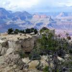 A view of the Grand Canyon from an overlook on Desert View Drive.
