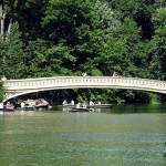 A cluster of rowboaters at the Bow Bridge in Central Park.