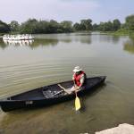 Chris Sweda/Chicago Tribune                                Alligator Bob from the Chicago Herpetological Society heads out on his canoe to resume his search for an alligator that was spotted in Chicagos Humboldt Park Lagoon on Tuesday.