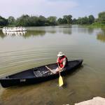 Alligator Bob from the Chicago Herpetological Society heads out on his canoe to resume his search for an alligator that was spotted in Chicagoís Humboldt Park lagoon on Tuesday. (Chris Sweda/Chicago Tribune)