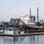 DAN HAMMOCK | GRAYS HARBOR NEWS GROUP                                Walking tours of the Westport Marina in August will give participants an up-close look at the ports operations. Here in the foreground is the fuel dock, in the background is Float 4, with the commercial fishing vessel <em>Coast Pride</em>.