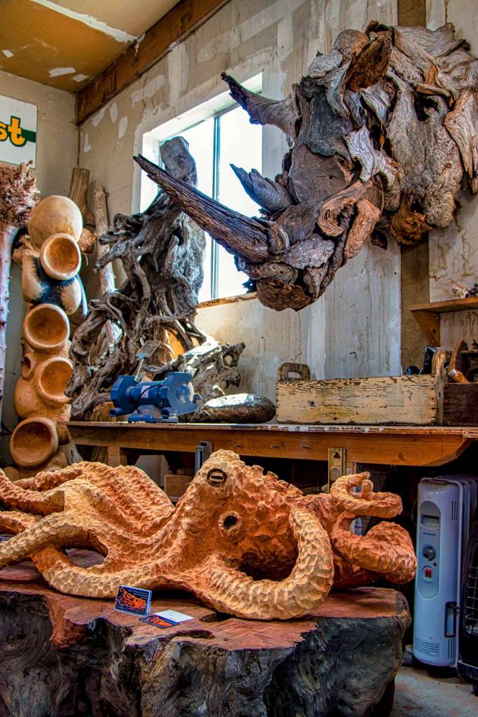 Kris L. Cox | For Grays Harbor News Group                                A driftwood rhino was among the pieces on display in Jeffro Uittos workshop.