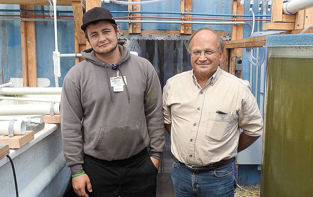 DAN HAMMOCK | GRAYS HARBOR NEWS GROUP                                It takes a lot of expertise to run a successful oyster nursery, and the Willapa Bay Oyster Company has it in oyster manager Kenny Lewis, left, and consultant Tom Madsen. Lewis has been in the business since his teens, and Madsen has been a successful oyster producer for more than 35 years.