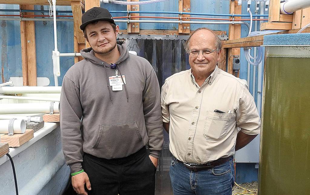 DAN HAMMOCK | GRAYS HARBOR NEWS GROUP                                It takes a lot of expertise to run a successful oyster nursery, and the Willapa Bay Oyster Company has it in oyster manager Kenny Lewis, left, and consultant Tom Madsen. Lewis has been in the business since his teens, and Madsen has been a successful oyster producer for more than 35 years.