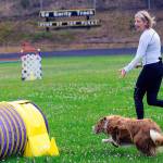 Photos by Hasani Grayson | Grays Harbor News Group                                Dog trainer Jennifer Evans and her dog, Dare, run through the agility course during Woof-a-Thon at North Beach High School on Saturday.
