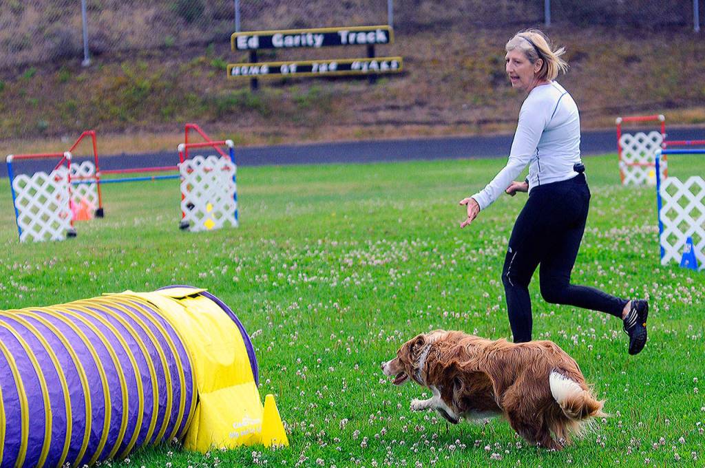 Photos by Hasani Grayson | Grays Harbor News Group                                Dog trainer Jennifer Evans and her dog, Dare, run through the agility course during Woof-a-Thon at North Beach High School on Saturday.