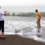 Kat Bryant | Grays Harbor News Group                                Glenn Koster finishes his coast-to-coast walk at 4:10 p.m. Wednesday at Half Moon Bay in Westport, accompanied by his wife, Charlcie, and their dog, Walker.