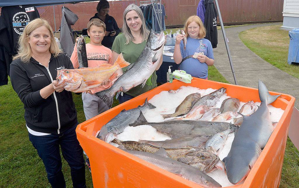 DAN HAMMOCK | GRAYS HARBOR NEWS GROUP                                Commercial fishing nonprofit WeFish had its popular fish display at the Westport Seafood Festival Saturday. Pictured from left are Jennifer Custer, Fritz Bold, Holly Rydman and Gannon Moore.