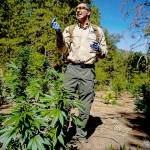Illegal cannabis farms still scarring public lands, 2 years after California legalized marijuana