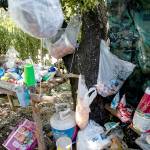 Illegal cannabis farms still scarring public lands, 2 years after California legalized marijuana