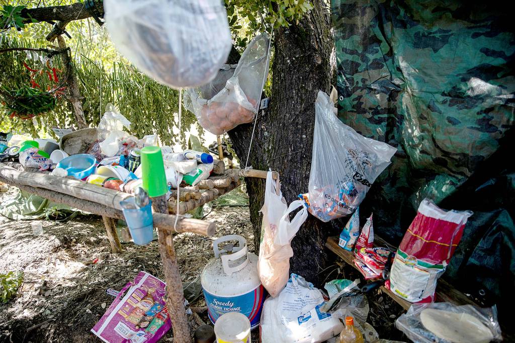 Illegal cannabis farms still scarring public lands, 2 years after California legalized marijuana