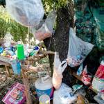 Illegal cannabis farms still scarring public lands, 2 years after California legalized marijuana