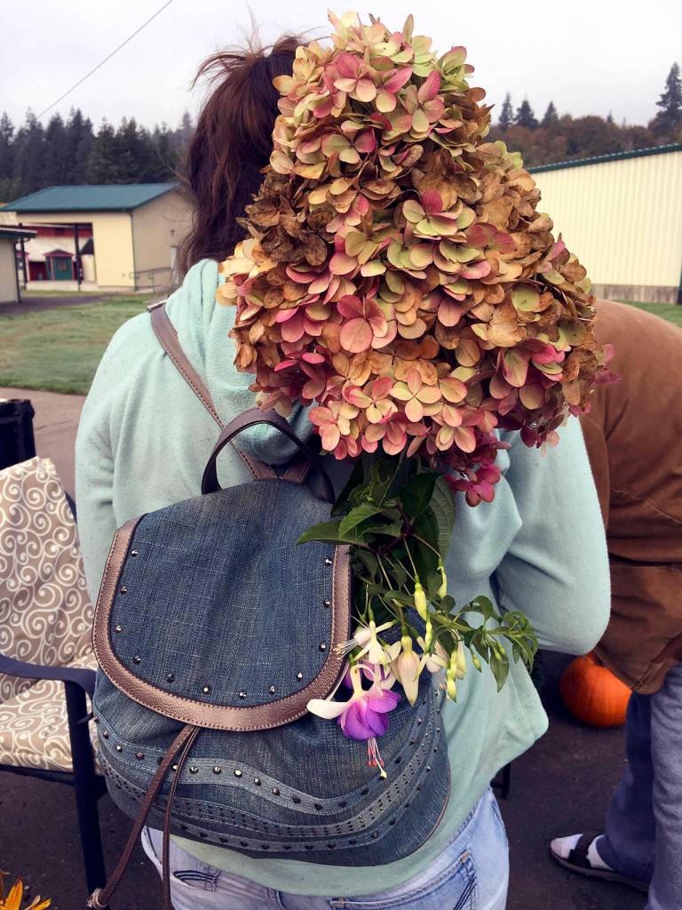 A workshop visitor heads home with a peegee hydrangea blossom from last years Seed Saver event.
