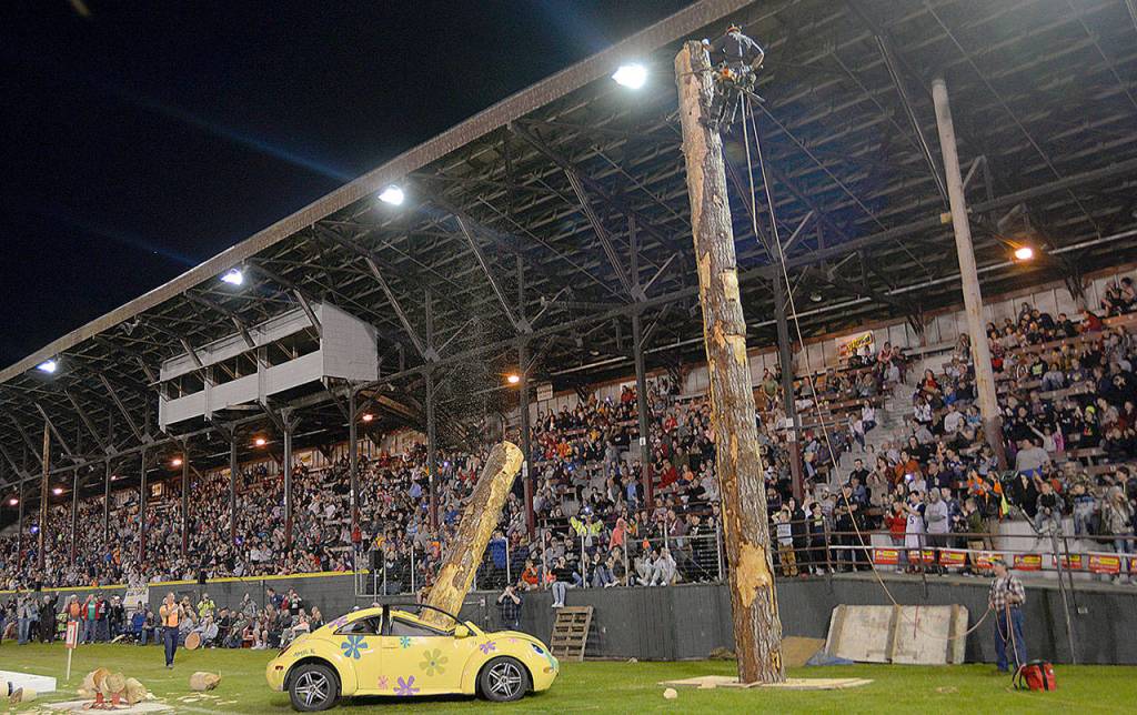 DAN HAMMOCK | GRAYS HARBOR NEWS GROUP                                Ed Mooch Smith of Eatonville dropped a topped tree squarely on a watermelon, then, for an encore and to the roars of the crowd, did it again on a Volkswagen Beetle.