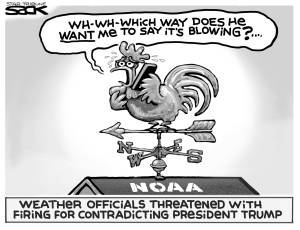Steve Sack, The Minneapolis Star-Tribune