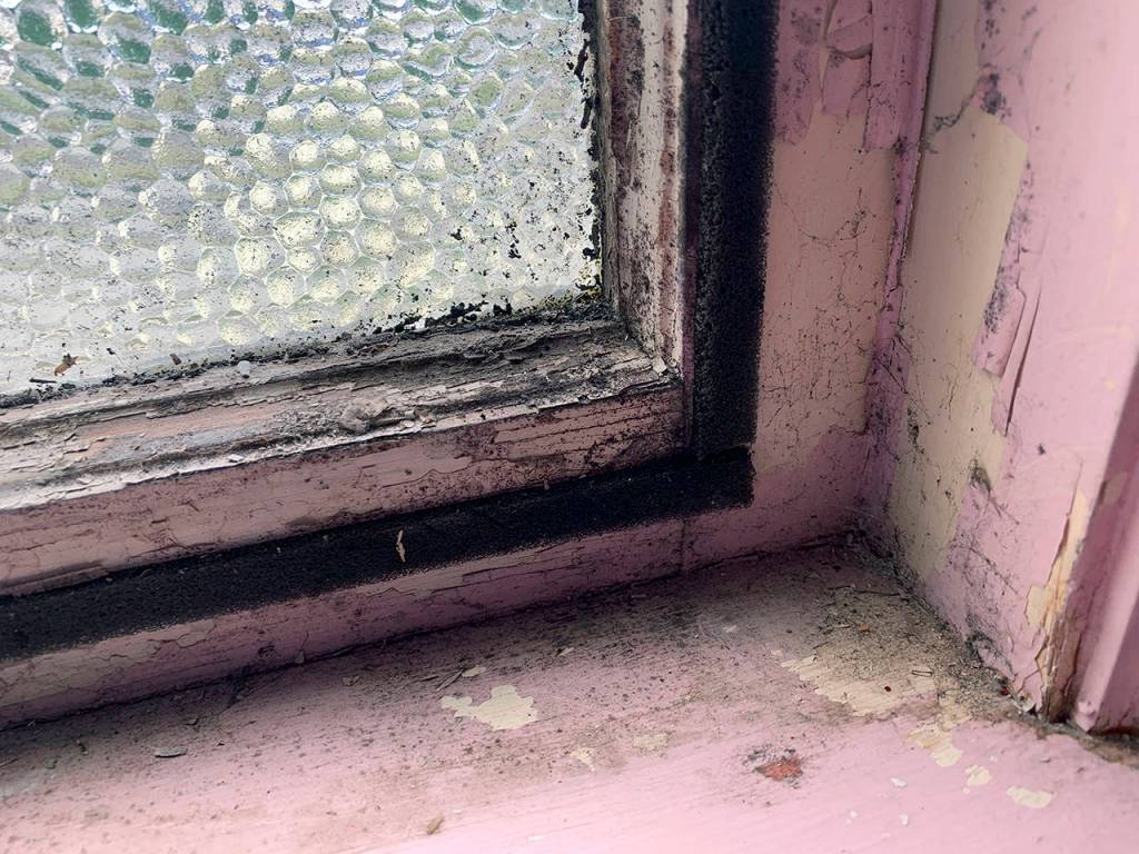Kat Bryant | Grays Harbor News Group                                A close-up of one of the playhouses 67 windows in need of repair.