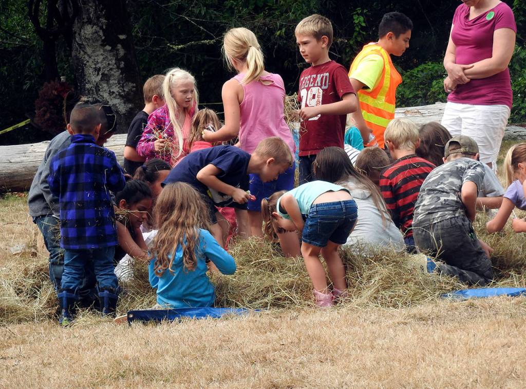 Kids get to dig through a haystack for candy and coins in the Treasure Hunt.