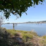 Photo by DAN HAMMOCK | GRAYS HARBOR NEWS GROUP                                The Aberdeen City Council voted Monday to close a section of city-owned land on the south side of the Chehalis River between the South Side Levee and the river to night time public access. It will remain open to public access during daylight hours.